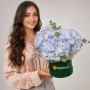 Композиция из 3 голубых гортензий в коробке — вид 2